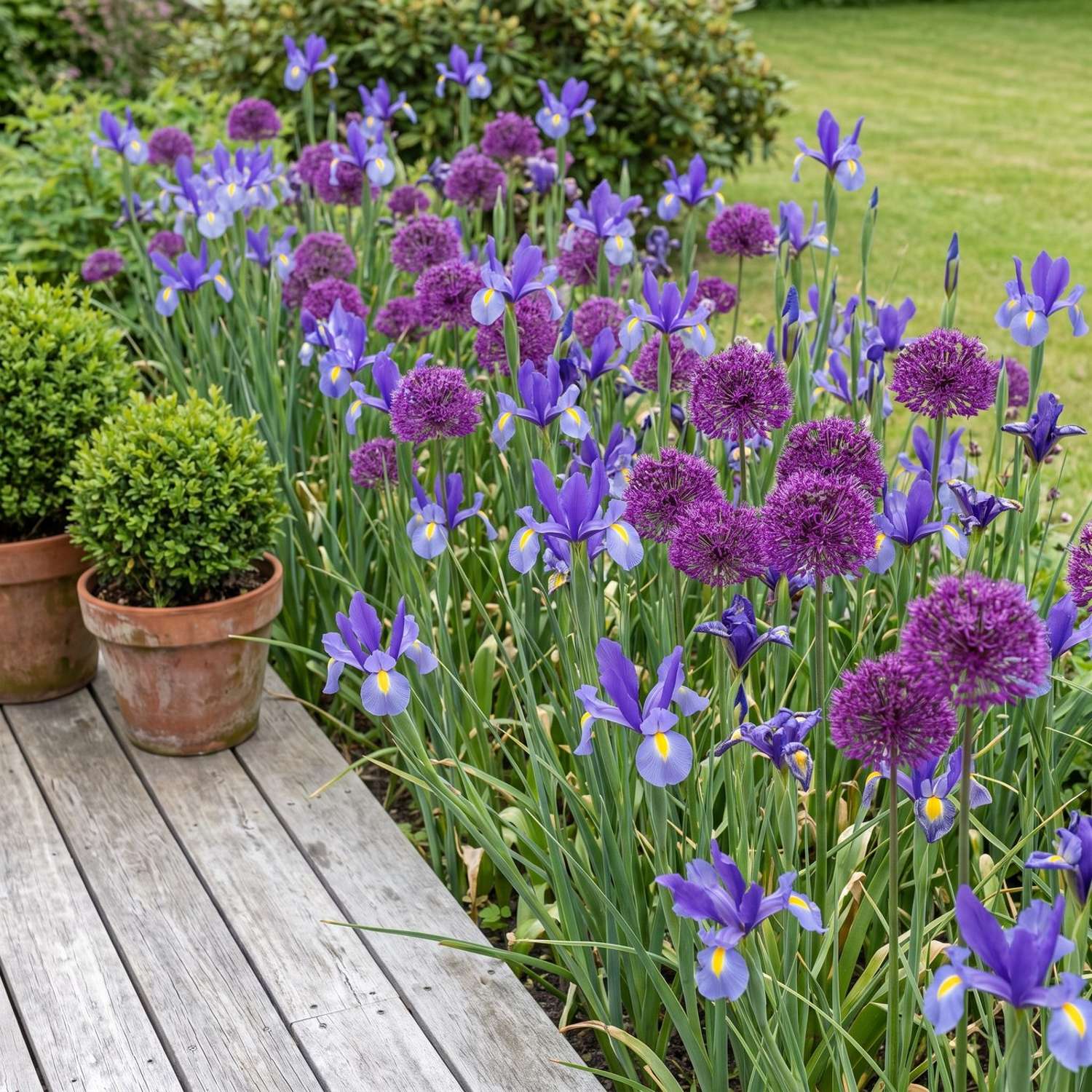 Færdigbed 'Blue June' (1 m²)